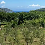 Apartment Mirella
