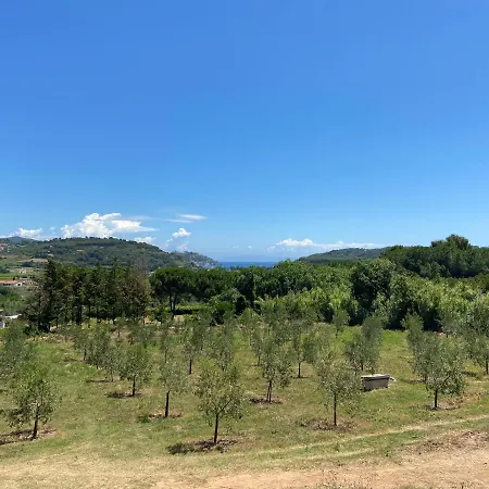 Apartment Mirella *