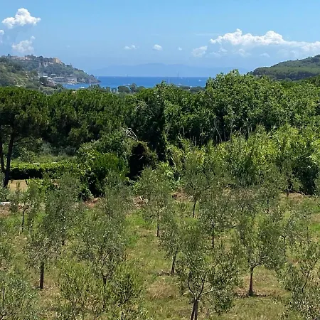Apartment Mirella
