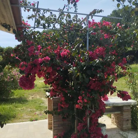 Apartment Mirella *